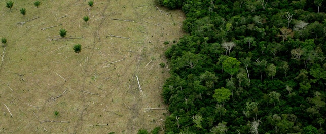 Jednym z najbardziej uznanych systemów ujawniania danych w zakresie działań środowiskowych jest CDP.
